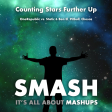 Counting Stars Further Up (OneRepublic vs. Static & Ben El, Pitbull, Chesca)