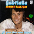 JOHNNY HALLYDAY - Happy Gabrielle by DJ WILS !