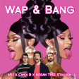 Wap & Bang (AJR x Cardi B feat. Megan Thee Stallion)