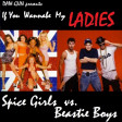 DAW-GUN - If You Wannabe My Ladies (Beastie Boys vs Spice Girls)