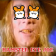 pomDeter - Hamster Eye Joe (Hamsterdance vs Rednex)