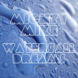 Waterfall dreams (Coldplay / Gabrielle) (2011)