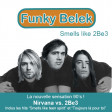 Funky Belek - Smells like 2Be3 (Nirvana vs. 2Be3)