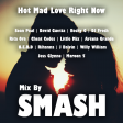 Hot Mad Love Right Now (Sean Paul, David Guetta ft. Becky G vs. Multiple Artists)
