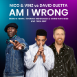 Am I Wrong (Marco Ferry, Thomas Menegazzi & Christian Hess Live Tool Edit)