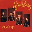 4 Non Blondes - What's Up (Unreleased Radio Edit)