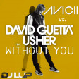 Avicii vs. David Guetta & Usher - Without You (LUP Mashup)
