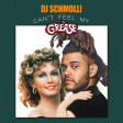 DJ Schmolli - Can't Feel My Grease [2016]