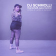 DJ Schmolli - Overscheiß Juice Control [2020]