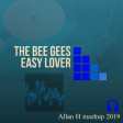 Bee Gees - easy lover (Allan H Mashup 2019)