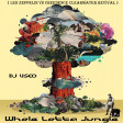 DJ Useo - Whole Lotta Jungle ( Led Zeppelin vs Creedence Clearwater Revival )