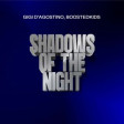 Gigi DAgostino feat. Boostedkids - Shadows Of The Night (G Master Dj Rework)