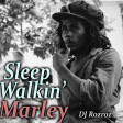 Sleepwalkin' Marley
