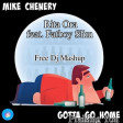 Mike Chenery vs. Rita Ora feat. Fatboy Slim - Gotta Go Home Praising You (Free Dj Mashup)