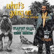SSM 163 - MARVIN GAYE / GEORGE HARRISON - What's Going On, My Sweet Lord