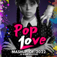 PopLove 10 : Mashup Of 2022 by Robin Skouteris  (75 Tracks)