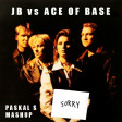 Justin Bieber vs. Ace of Base - The Sorry Sign [Paskal S]