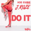Ice Cube feat. J.Roze - Do It (ASIL Mashup)