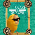 DJ Snake Mashup