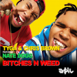 Chris Brown  & Tyga feat. Nate Dogg - Bitches & Weed (ASIL Rework)