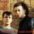DoM - Shout to the mad world (TEARS FOR FEARS)