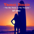 DJ Useo - Vacant Bonnie ( The Sex Pistols vs The Ventures )