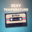 David Guetta vs Sean Paul, Pitbull & Britney Spears - Sexy Temperature Bitch (John Shaft Mashup)