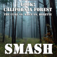 Look! California Forest (The Cure vs. RHCP vs. Roxette)