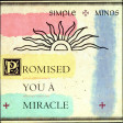 Simple Minds - Promised you a miracle (Bastard Batucada Miracoli Remix)