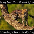 Turn around Africa (Michel Sardou vs Phats & Small vs Lazy Jay)