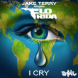 Jake Tarry feat. Flo Rida - I Cry (ASIL Mashup)
