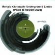 Ronald Christoph - Underground Limbo (Paolo M rework 2023)