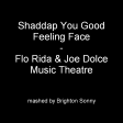 Shaddap You Good Feeling Face - Flo Rida & Joe Dolce Music Theatre (Brighton Sonny mashup)