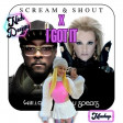 Scream & Shout x I GOT IT (NickDeejay Mashup)