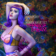 Katy Perry vs Mungolian Jetset - Teenage Dream (DJ Yoshi Fuerte Radio Edit 2)
