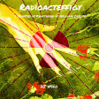 DJ Useo - Radioacteffigy ( Ministry vs Kraftwerk vs William Orbit )