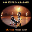Daddy Yankee ft Snow vs Chainsmokers vs Knife Party - Con Bonfire Calma Down (DJ Dumpz Mashup)