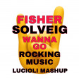 FISHER X MARTIN SOLVEIG - WANNA GO ROCKING MUSIC (Nicola Lucioli Mashup)