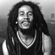 Marley & Me (Bob Marley VS Black Strobe) (2010)