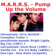 Pump Up the Bright New Lights, Ice Baby Lupa (CVS 'Frontpage' Mashup) - MARRS + V.A.