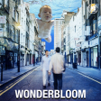 Wonderbloom (Oasis x Nirvana)