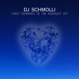DJ Schmolli - Crazy Diamonds In The Midnight Sky [2013]