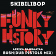 Funky History (Afrika Bambaataa vs Bush-Dub Pistols Mix)