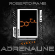 Roberto Pane - Adrenaline (Original Mix)