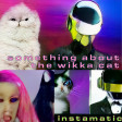 Instamatic - Something About The Wikka Cat (Evasions vs Doja Cat vs Daft Punk)