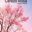 cerezo rosa (salsa edit - Andrea Tritelli remix)