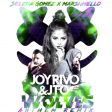Selena Gomez x Marshmello - Wolves (Joy Rivo & Jto Anthem Remix)