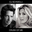 DJ Schmolli - Crush Of Me [2009]
