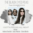 Black Eyed Peas - I Gotta feeling at night. MASHUP. ANDREA CECCHINI & LUKA J MASTER & STEVE MARTIN