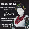 kalush orchestra - stefania ( MASH UP) eurovision 2022⭐Andrew Cecchini⭐Steve Martin dJ